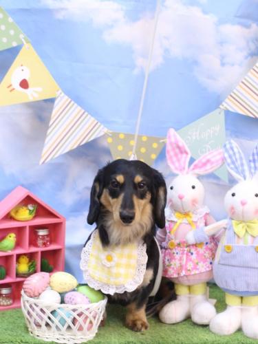 20240326おうたくん